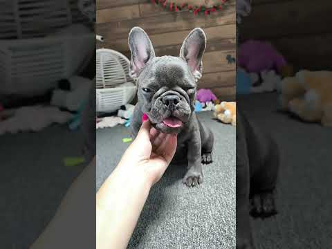 Video 4