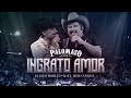 Raúl Hernández Ft Eliseo Robles / Palomazo Norteño - Ingrato Amor ( Video Oficial )