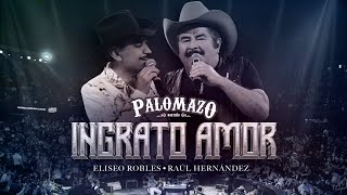 Raúl Hernández Ft Eliseo Robles / Palomazo Norteño - Ingrato Amor ( Video Oficial )