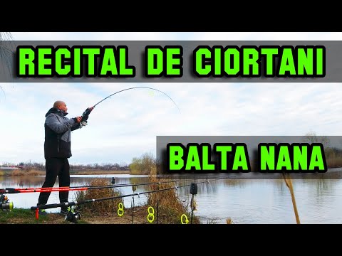 Pescuit la crap si caras pe Balta Nana in Martie 2023