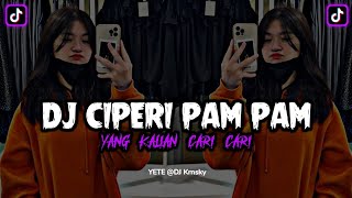 Download lagu DJ CIPERI PAM PAM X MAIMUNAH VIRAL TIKTOK TERBARU mp3
