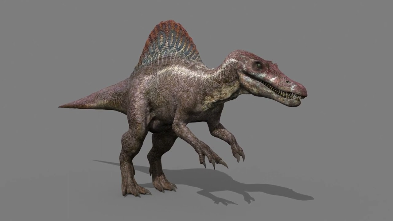 Suchomimus Mongolica - 8K animated JP3 Spinosaur 3D Model