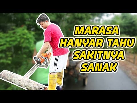 perjalanan-hidup-anak-kampung-ke-kota