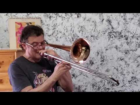 "Break My Heart" - Dua Lipa (Trombone Cover)