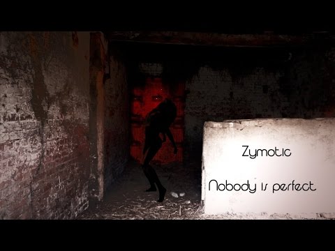 Zymotic - Nobody is perfect