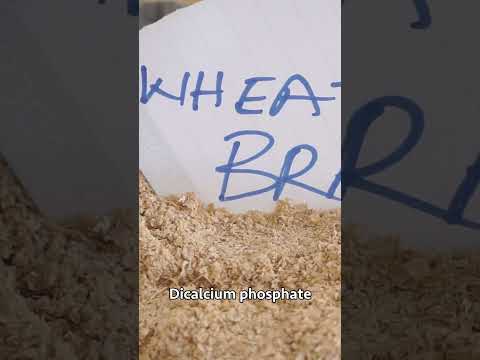 Broiler Chicken Farming broilerchicken poultryfarming chicken poultrymanagement