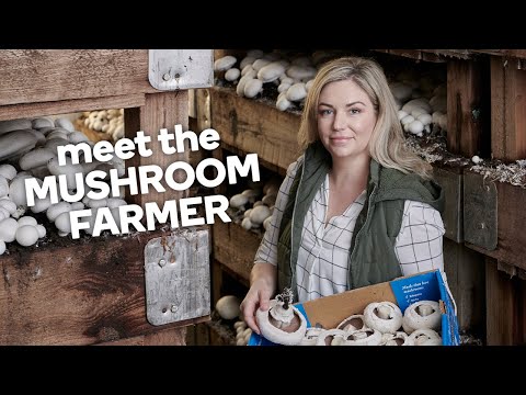 Meet the mushroom farmer - Fresh stories from the farm