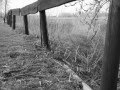 Ennio Morricone Dolce Donzella Photographies Noir et Blanc - Catherine Arcelon Ennio Morricone Dolce Donzella Photographies Noir et Blanc