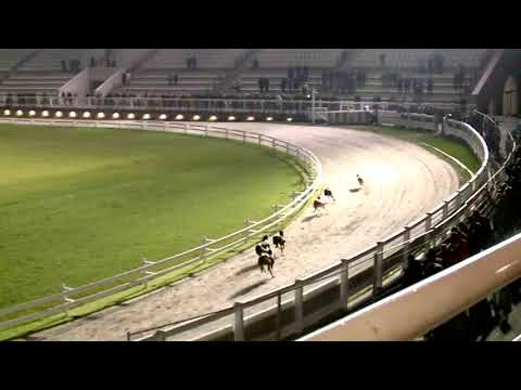 2019.12.14. 09. futam - AGÁR FUTAM