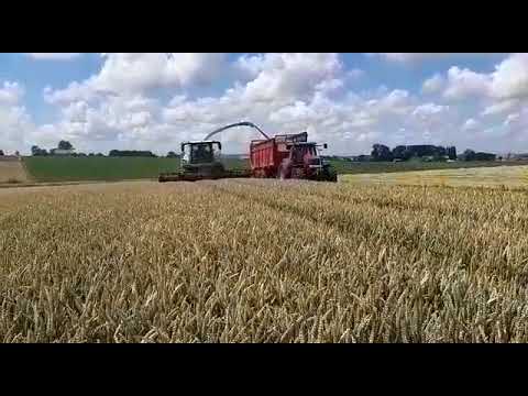 Agri Persyn hakselen van GPS 2020