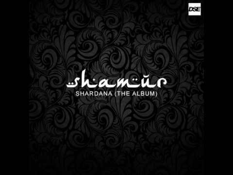 Shamur The One Feat  MILAD DSE