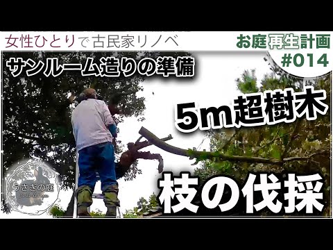 ipomée アイデア つる性植物 そよ風ビュー 太陽に満ちた南向きのバルコニー