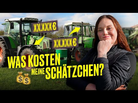 PREISE RATEN: SO teuer ist ein Traktor (Oldtimer 😍) I Hundert Hektar Heimat