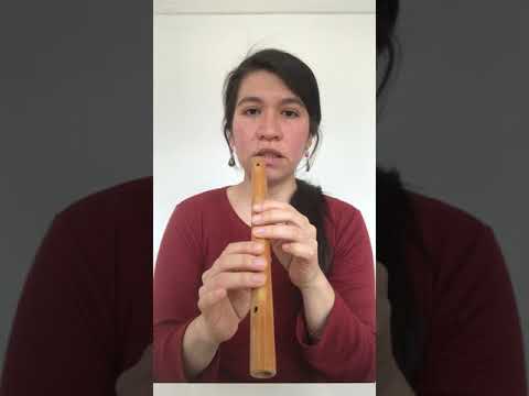 Die Moldau Blockflöte Tutorial