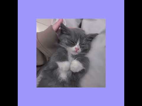 Zombie - The cranberries// last part instrumental loop