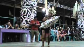 Download lagu Tarian SUKU DAYAK KALIMANTAN PERKASA mp3 Download lagu Tarian SUKU DAYAK KALIMANTAN PERKASA mp3