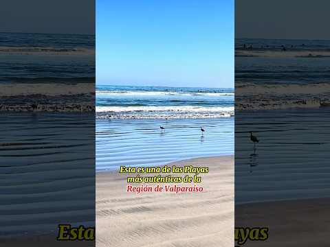 Esta es una de las Playas más auténticas de la Región de Valparaíso #playa #verano #viralshort #fy