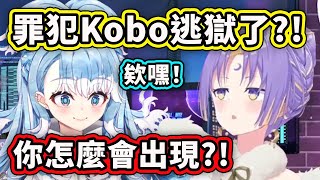 [Vtub] Kobo寶寶逃獄了