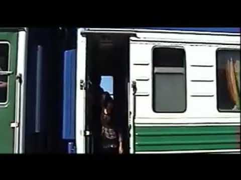 Пара-Жалгыз журек