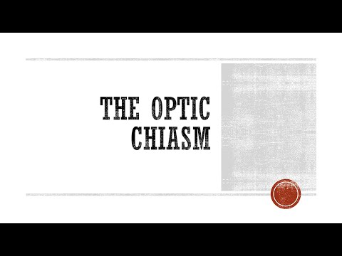 Optic Chiasm