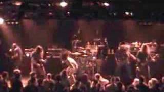 Beyond The Embrace &quot;Insect Song&quot; LIVE @ Pops St. Louis