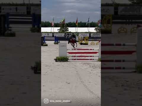 Untouched (Bel) LB (United Touch S x Cornet Obolensky) Summer 2022