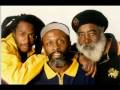 Steel Pulse Life Without Music Rollerskates