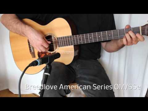 Martin vs Eastman vs Breedlove Fingerstyle Guitar Sound Comparison