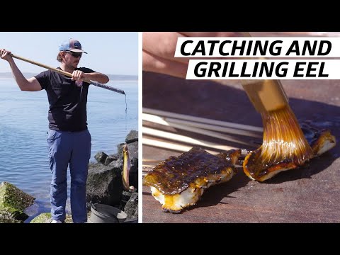 Catching and Grilling the Monkeyface Eel — Deep Dive