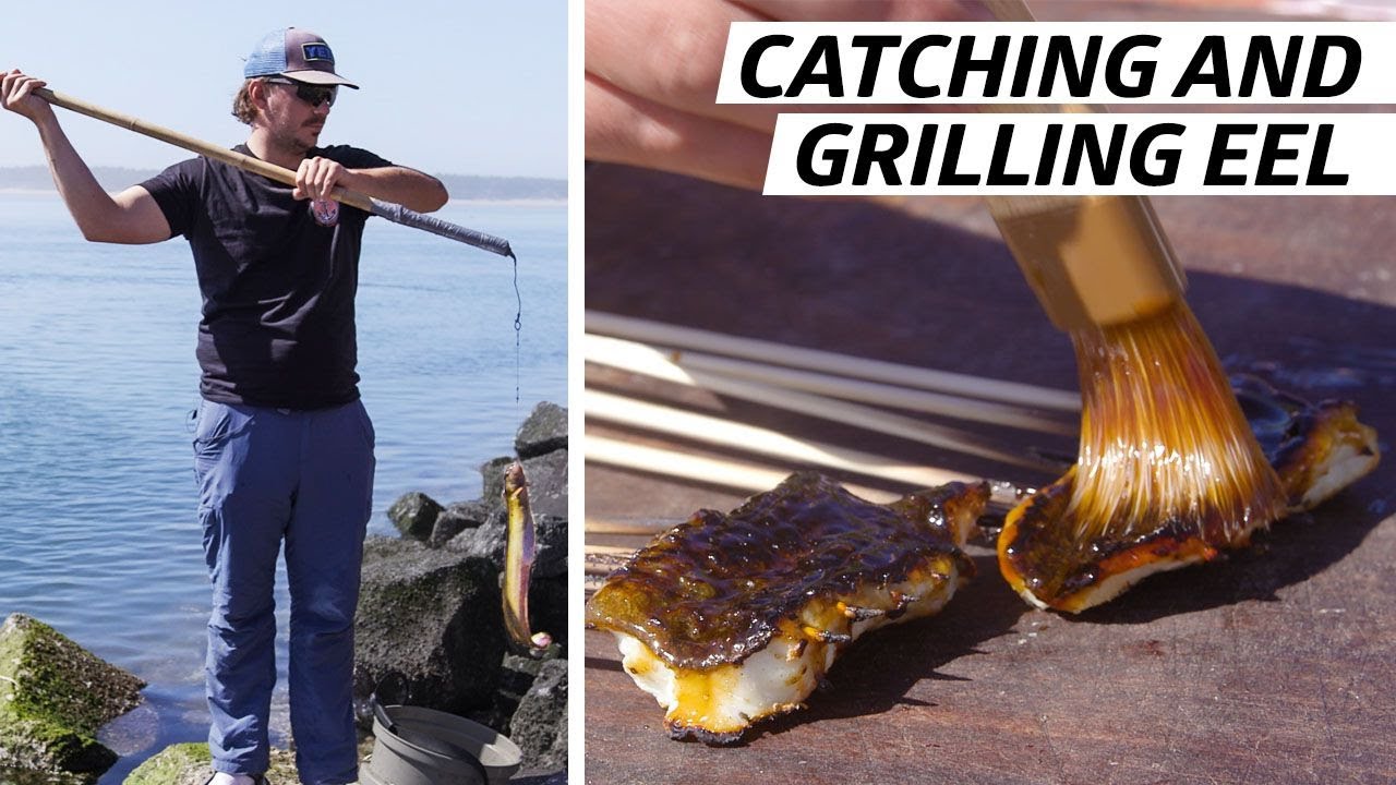 Catching and Grilling the Monkeyface Eel Deep Dive
