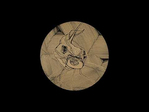 Biodub - Holmsund