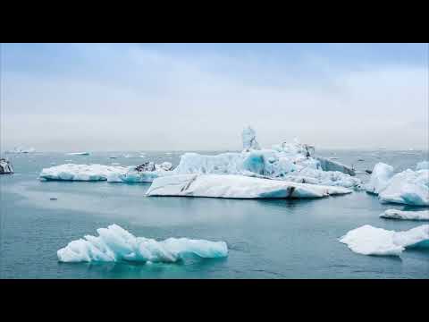 Foglia Veronica Messeri Aleksej