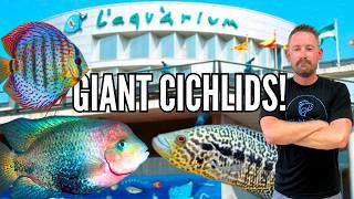 Inside L’Aquarium de Barcelona | Complete Aquarium Tour Spain