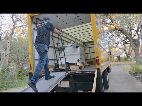 My neighbors are going to hate me.