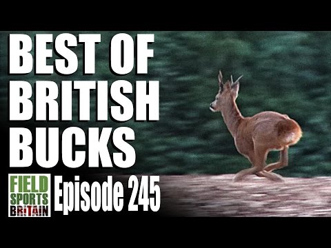 Fieldsports Britain – Best of British Bucks Fieldsports Britain – Best of British Bucks