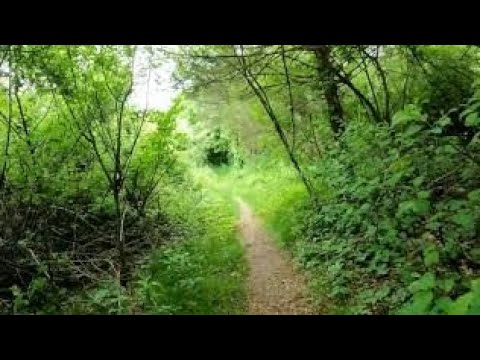 Lost Highway in Newburyport Preview May 2022