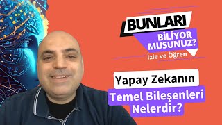 Yapay Zekanın Temel Bileşenleri Nelerdir? | Aytaç Mestçi