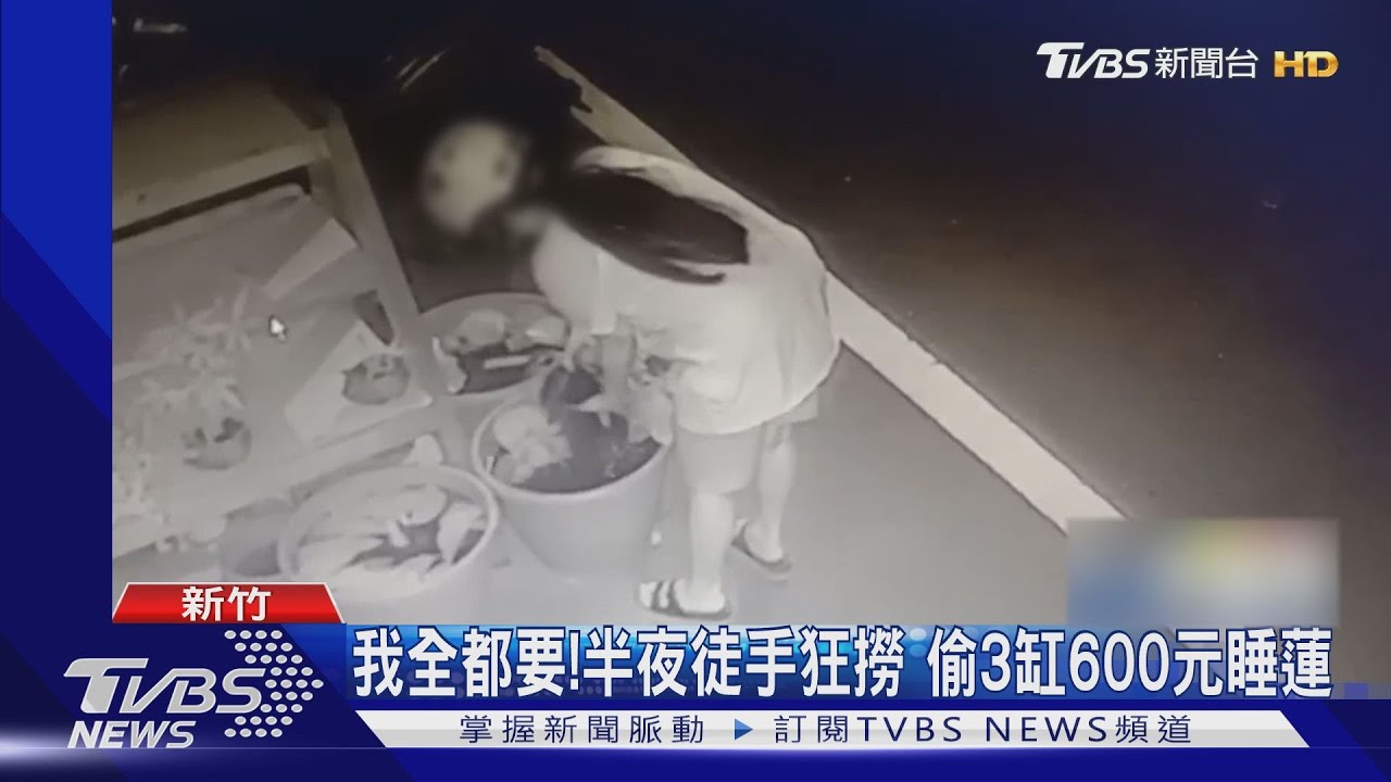 我全都要!半夜徒手狂撈 偷3缸600元睡蓮