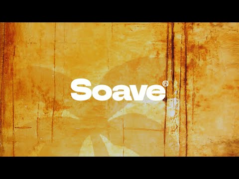 Alex Cruz, Brascon & Tania Zygar - Malibu (feat. Calper)