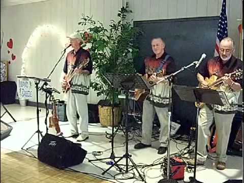 The Island Breeze Band - Classic Rock'n Tropical Hula Billy
