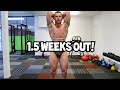 Jacob McDonald Bodybuilding Posing Practice with IFBB Pro Steve Orton at 1.5 Weeks Out from NZIFBB!