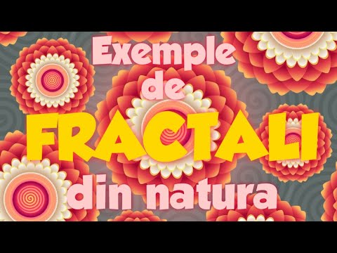 Fractalii: Exemple din Natură