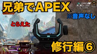 兄弟でAPEX　修行編⑥【ボイチャなし・音声なしver】