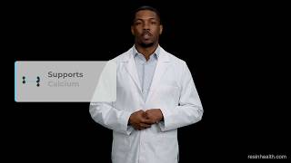 Vitamin D video preview