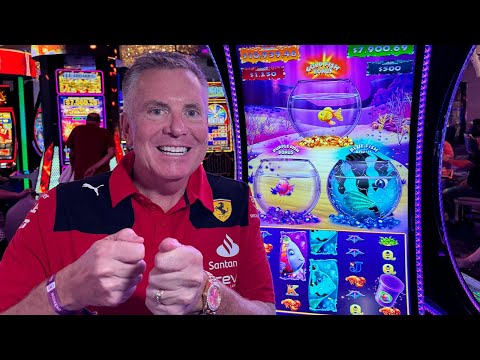 Fishing for The Goldfish Bonus - YouTube