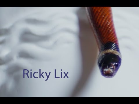 Ricky Lix - Garden (Official Video)