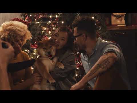 Happy Birthday Aza! ( Funny Talking Dogs ) What Is Free On My Birthday