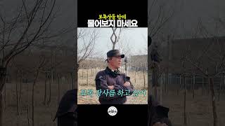 묘목상들한테 그만 좀 물어보세요