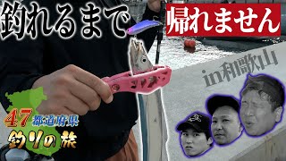 edisfd/ルアー類数日以内に発送中　様 株式会社DSTYLE 公式サイト