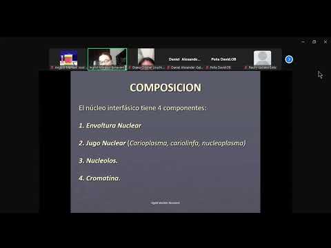 CLASE DE TEORÍA - NUCLEO INTERFÁSICO (BIOLOGÍA CELULAR)